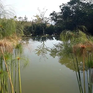  Alojamento de Turismo Selvagem Cabanas Ecologicas Aguai